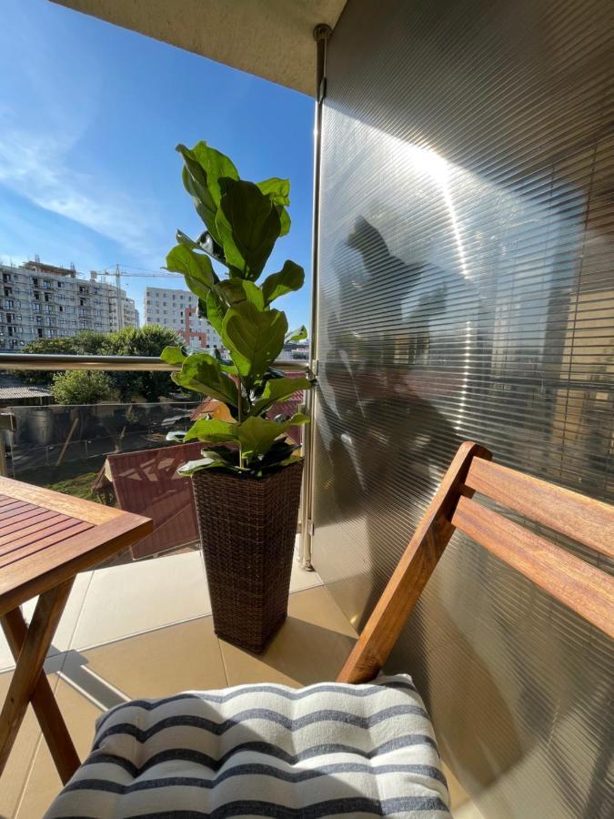 Apartament En Passant / A Time In Jassy Zewnętrze zdjęcie